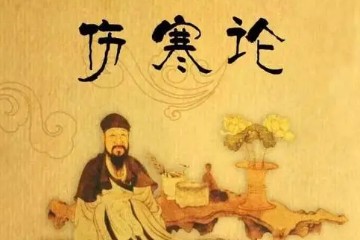 倪海厦——【人纪】伤寒论（全视频附学习资料）