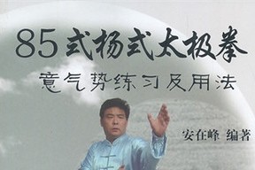 杨氏传统85式太极拳