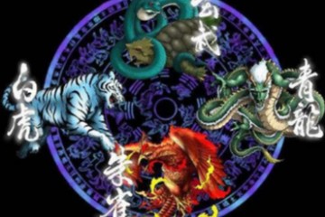 邵伟中 绝版 六爻 录像16集 全