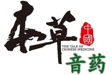 潘晓川：音药调气思路探析