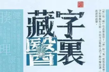 徐文兵《字中藏医》17集视频