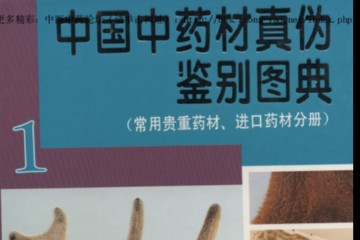 中国中药材真伪鉴别图典（全4册）