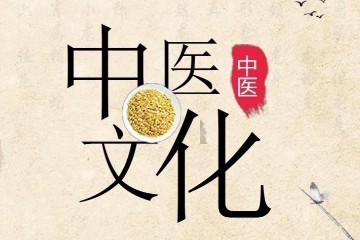 唐宋金元名医全书大成 23册