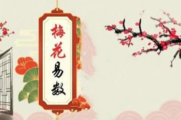 【道家术数】刘恒 - 《梅花易数》11讲