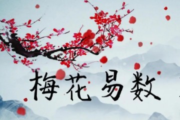 【道家】梅花易数《张瑞鹏 - 梅花易数》