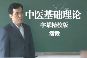 广州中医药大学  中医基础理论 潘毅 高清字幕版