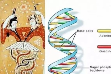 “科学”生育?